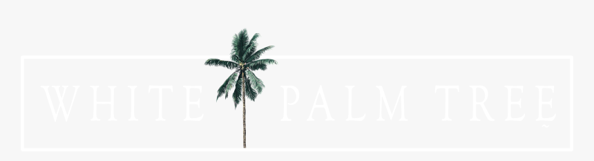White Palm Tree Png, Transparent Png