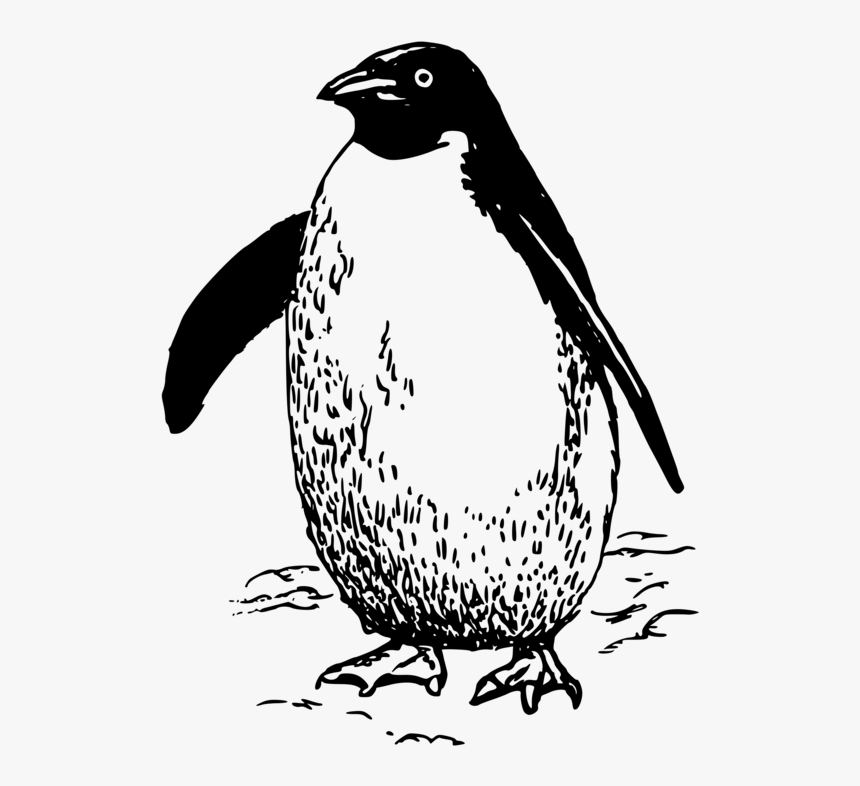Emperor Penguin Bird Drawing Line Art - Penguin Clipart Black And White, HD Png Download