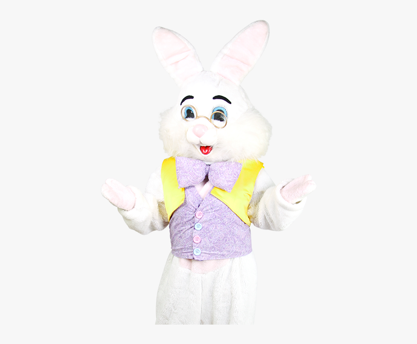 Domestic Rabbit, HD Png Download