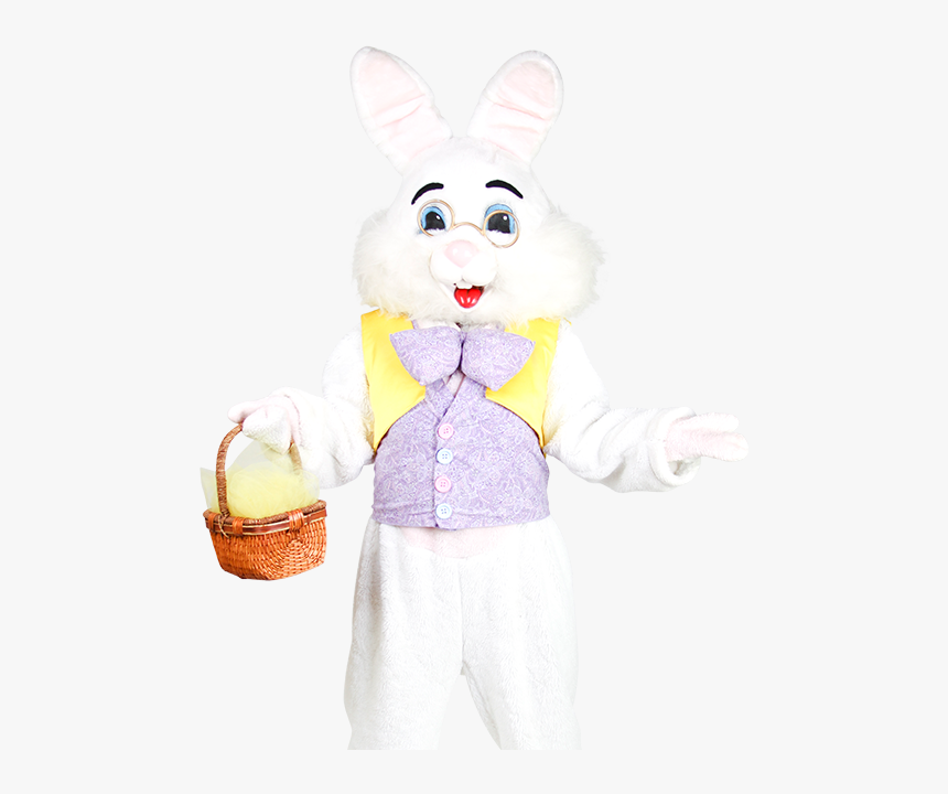 Domestic Rabbit, HD Png Download