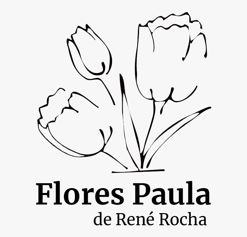 Flores Paula - Tulip, HD Png Download