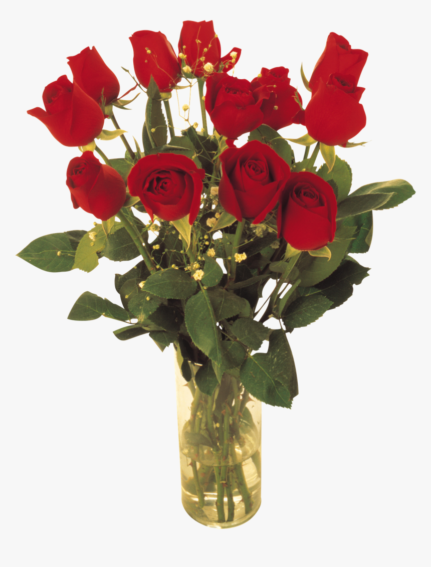 Marcos Gratis Para Fotos - Red Roses, HD Png Download