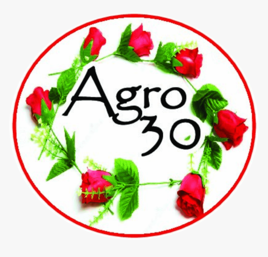 Floristería Agro - Ad Maiorem Dei Gloriam, HD Png Download