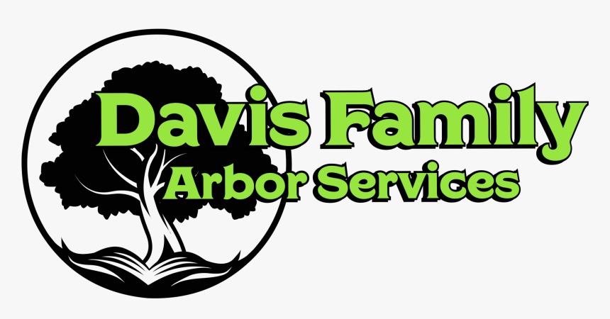 Tree Service Tulsa - Graphic Design, HD Png Download