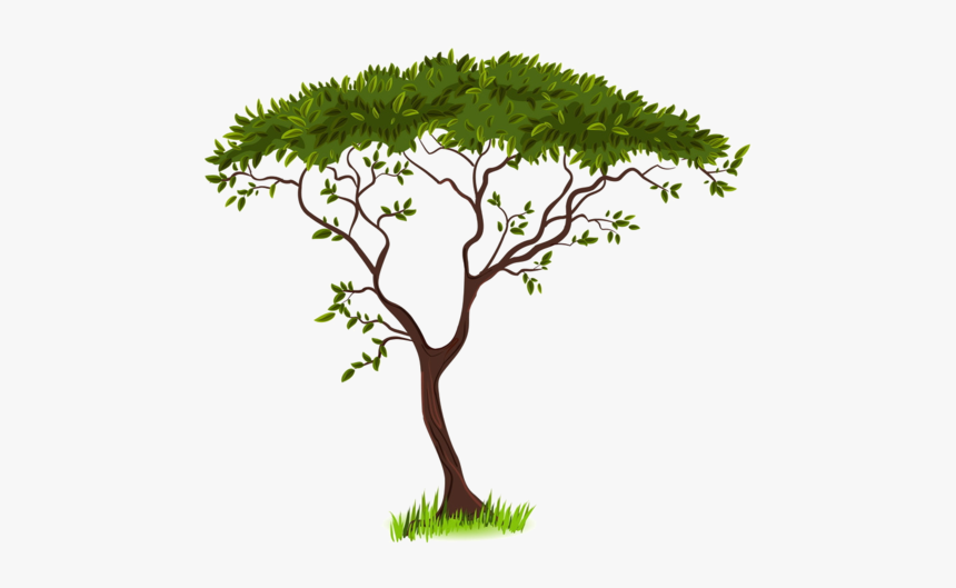 Savanna Silhouette Clip Art - Tree Clipart Transparent Background, HD Png Download
