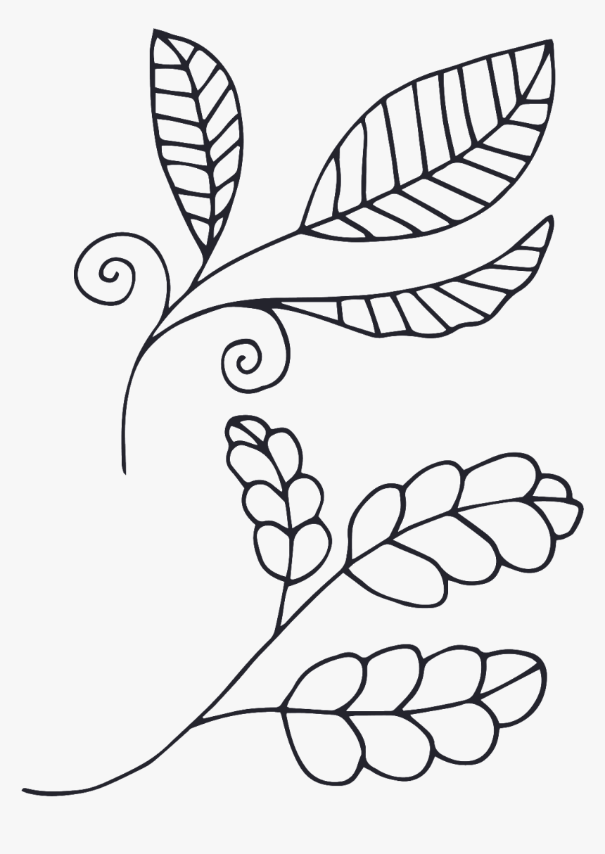 This Graphics Is Hand Drawn Plant Cartoon Transparent - Illustration, HD Png Download