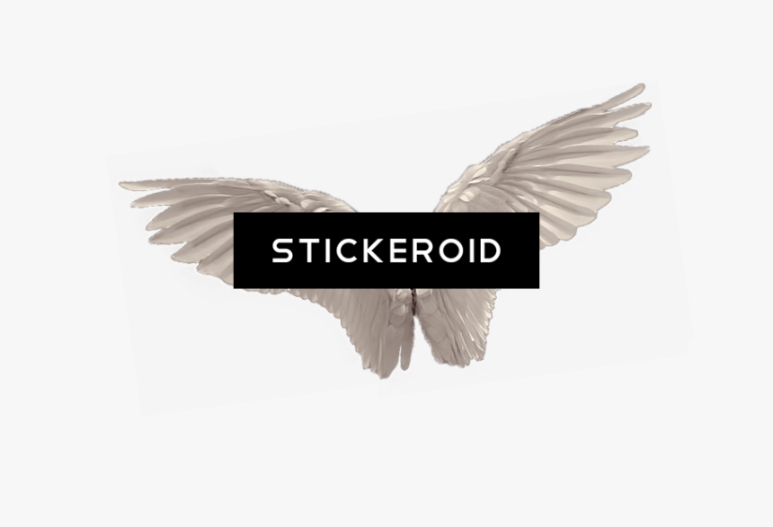 White Angel Wings - Angel Wing Realistic Png, Transparent Png
