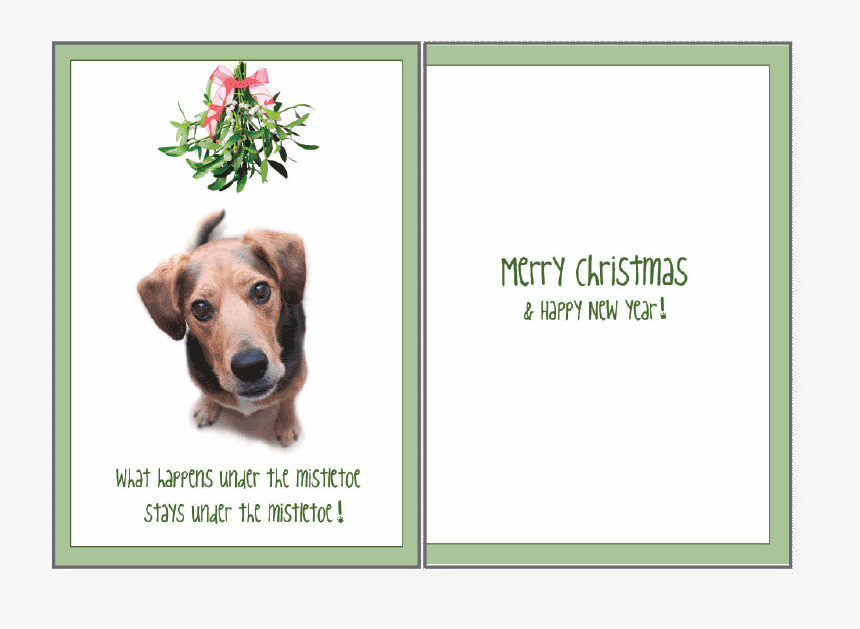 Holiday- What Happens Under The Mistletoe 
 Class - Christmas Card Dog And Mistletoe, HD Png Download