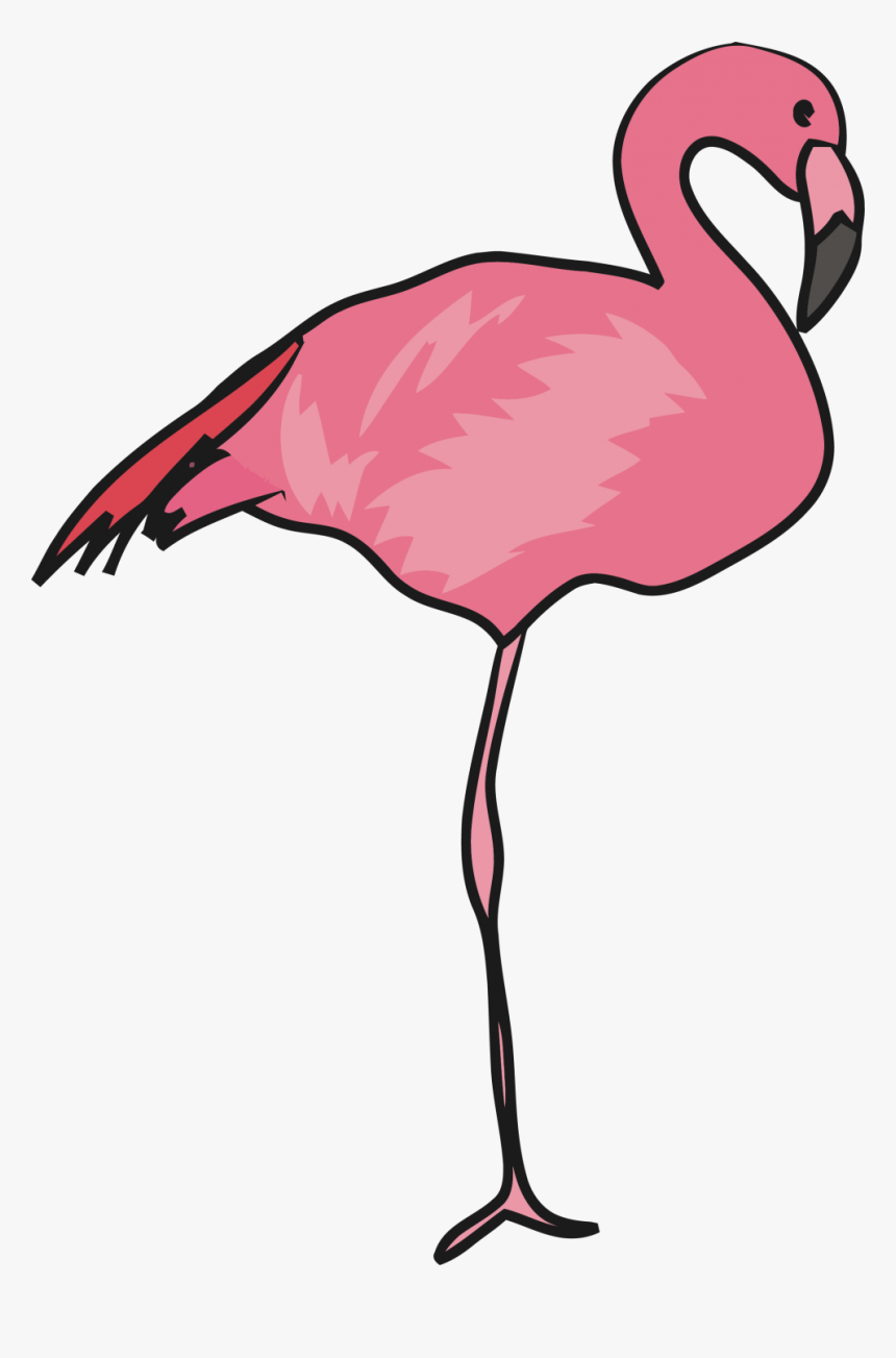 Greater Flamingo, HD Png Download