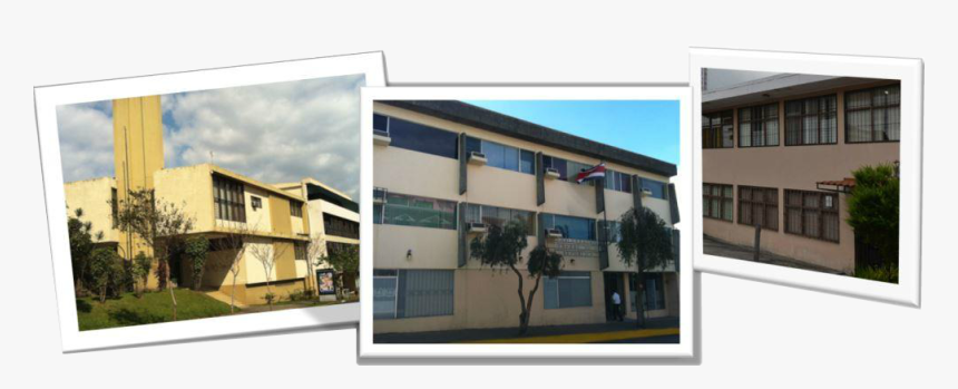 Procuraduría General De La República Costa Rica, HD Png Download