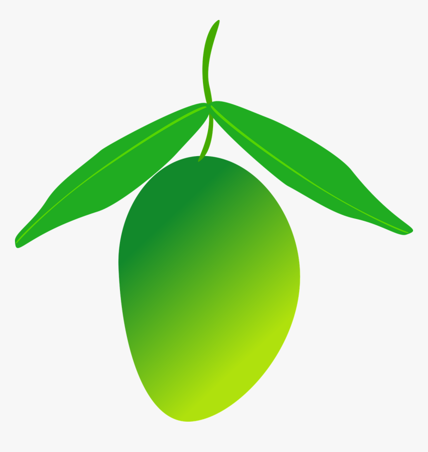 Green Mango Clipart Png Transparent Png Transparent Png Image