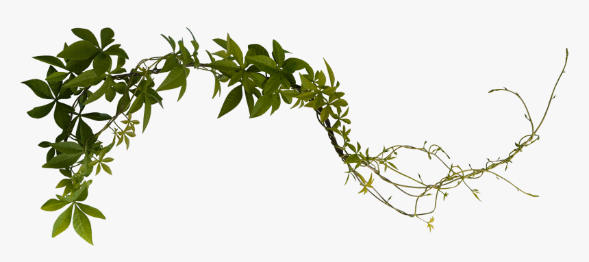 Stock Photography, HD Png Download