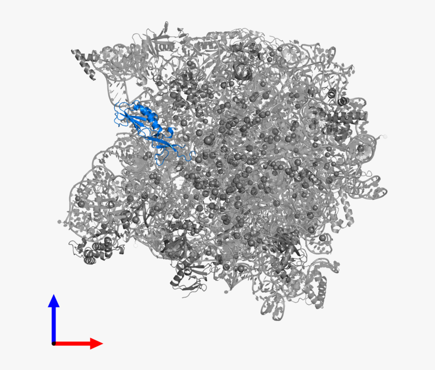 Sketch, HD Png Download