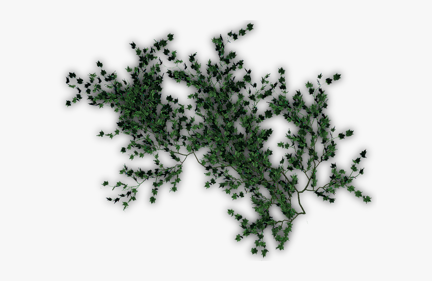 Textura Enredadera, HD Png Download