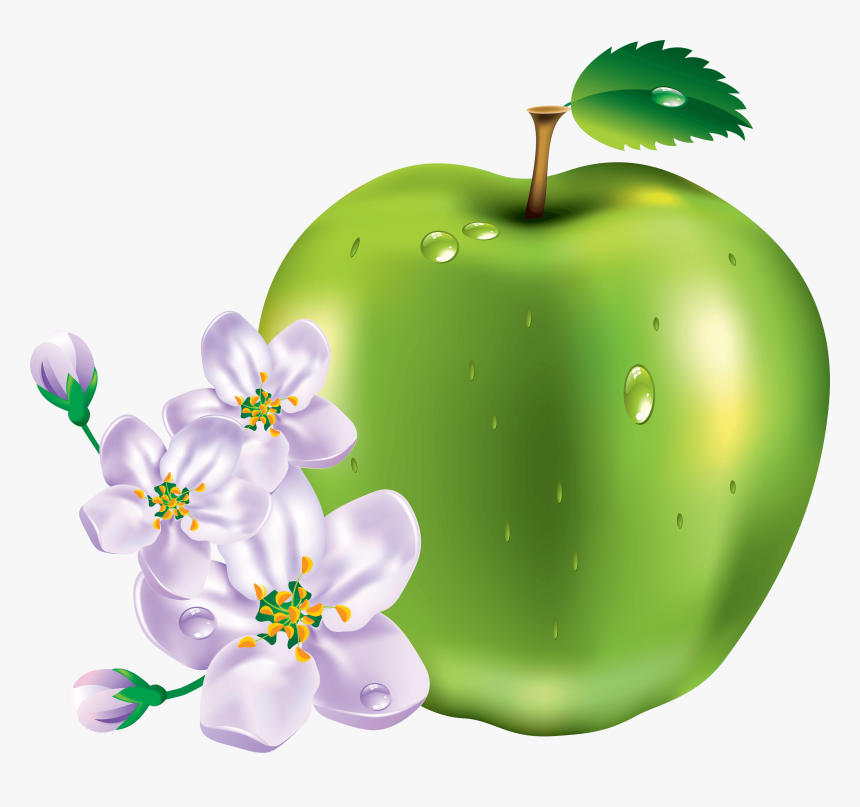 15 Green Apple Png Image Clipart Image - Transparent Transparent Png Green Apple Flowers, Png Download