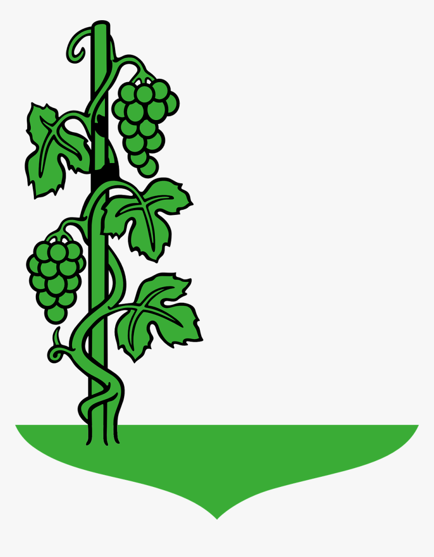 Transparent Vineyard Vines Png - Draw A Grape Tree, Png Download