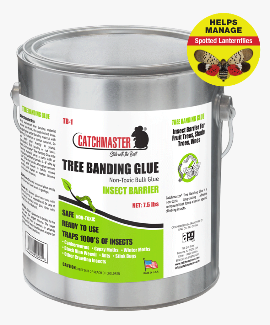 Glue Against The Insect Tree Us, HD Png Download