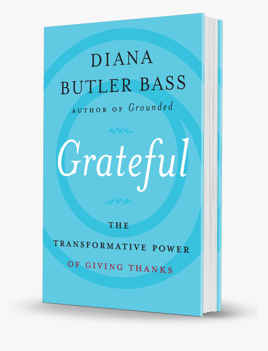 Bass Grateful Hc 3d - Graphic Design, HD Png Download