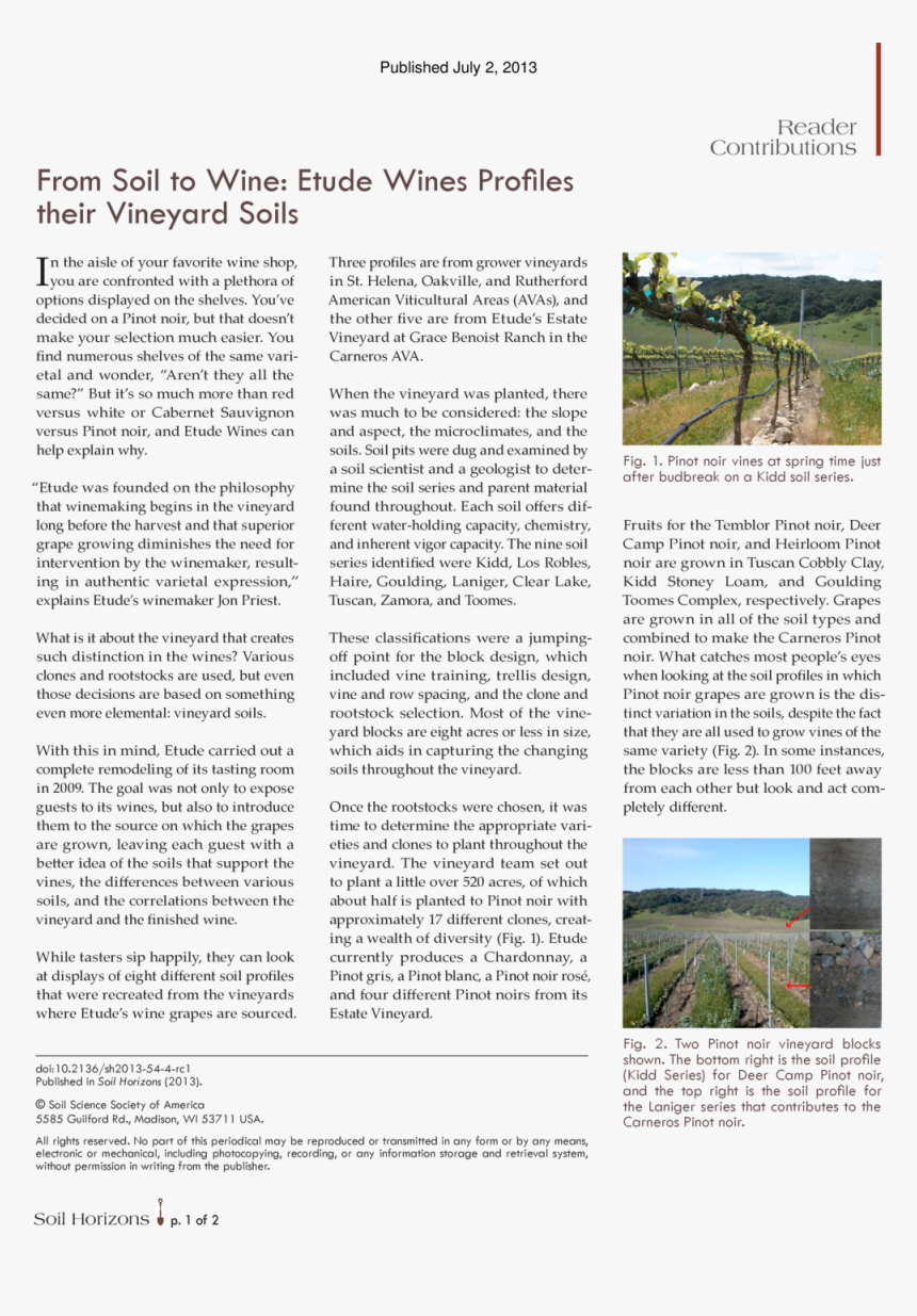 Abstract - Tree, HD Png Download