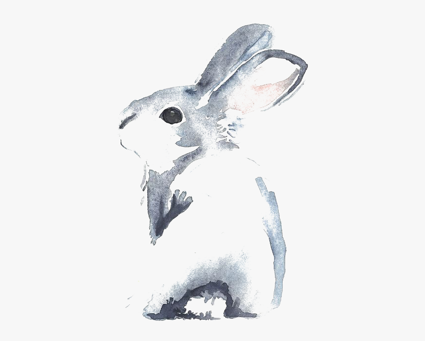 Little Watercolour Watercolor Cinnamon Rabbit Flowers - Watercolour Rabbit, HD Png Download