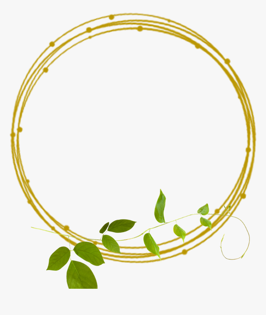 #golden #frame #frames #green #border #borders #leaves - Golden Border Lines Png, Transparent Png