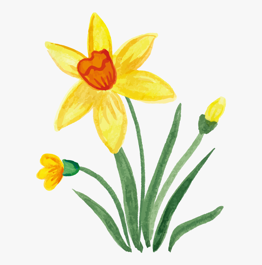 Clipart Library Download Watercolour Flowers Painting - Watercolor Painting, HD Png Download