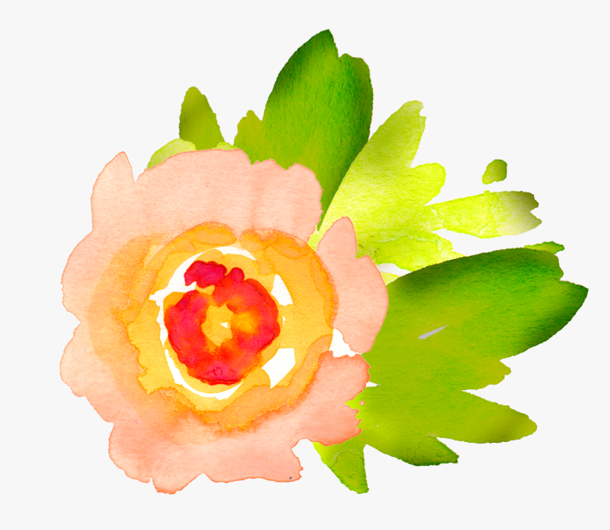 Lime Clipart Watercolour - Clip Art Watercolor Flower Images Free, HD Png Download