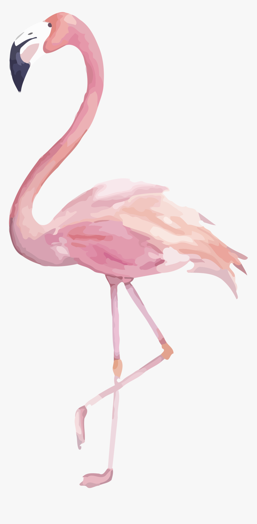 Flamingo Png Image Transparent Flamingo Clipart Watercolor - Watercolor Flamingo Clipart, Png Download