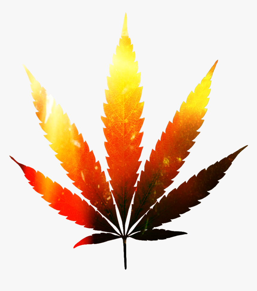#folha Da Maconha Editada - Marijuana Plant, HD Png Download