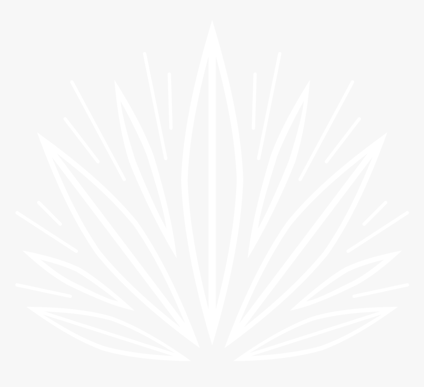 Bloom Farms - Illustration, HD Png Download