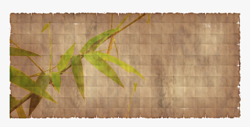 Papel, Pergaminho, Tipo De Papel, Papel De Arte, Bambu - Paper, HD Png Download