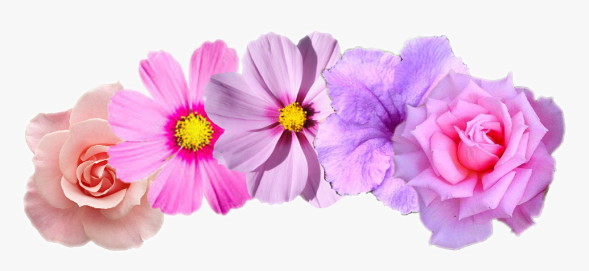 Diademas De Flores Png, Transparent Png