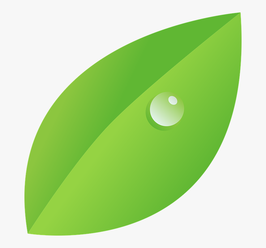 Dew, Drop, Leaf, More Character Canidates, Nature - Dew On Leaf Clipart, HD Png Download