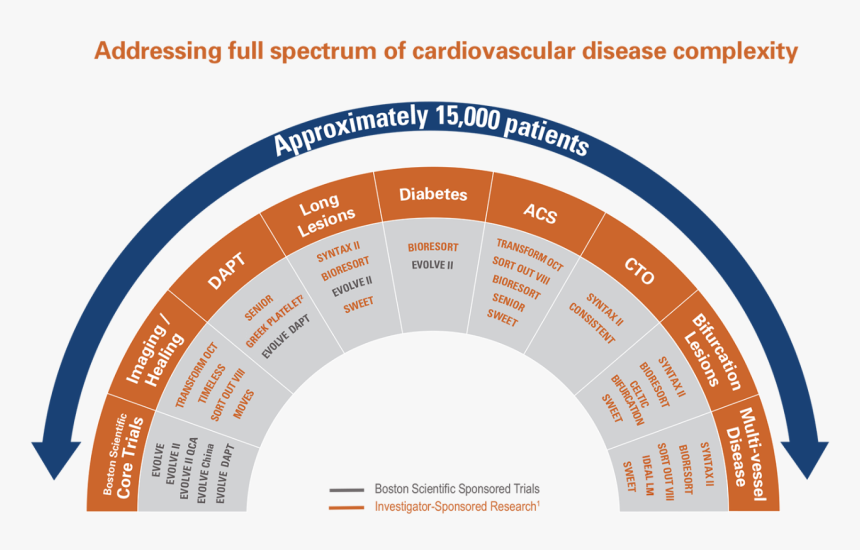 Circle, HD Png Download