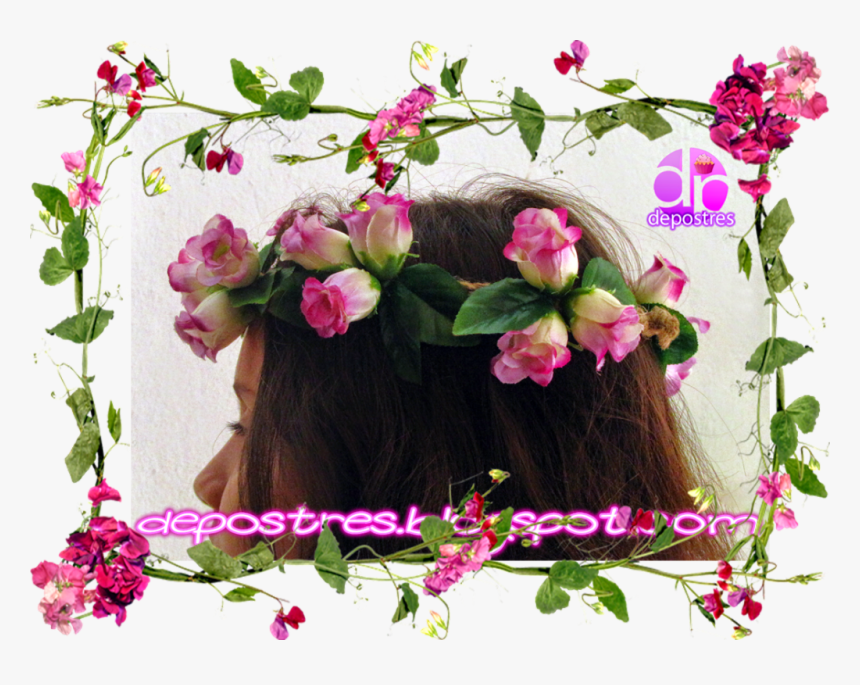 Marcos De Flores Png | flores gerberas