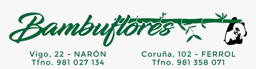 Tu Floristería Online En Ferrol Y Narón - Calligraphy, HD Png Download