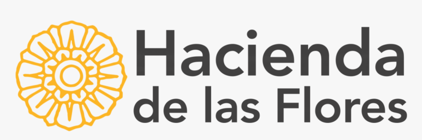 All Seeing Eye Icon, HD Png Download