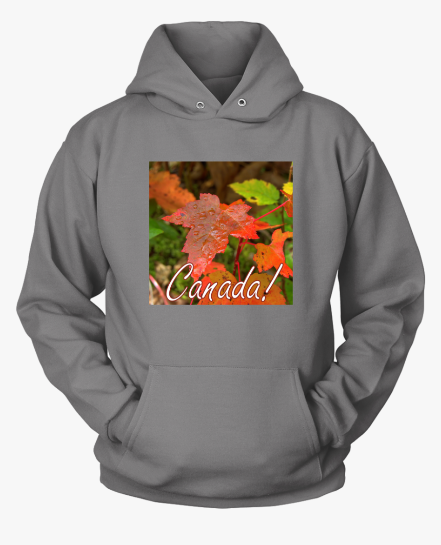 Bernese Mountain Dog Hoodies, HD Png Download