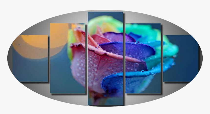 The Receiving Rose - Vard Caxik, HD Png Download