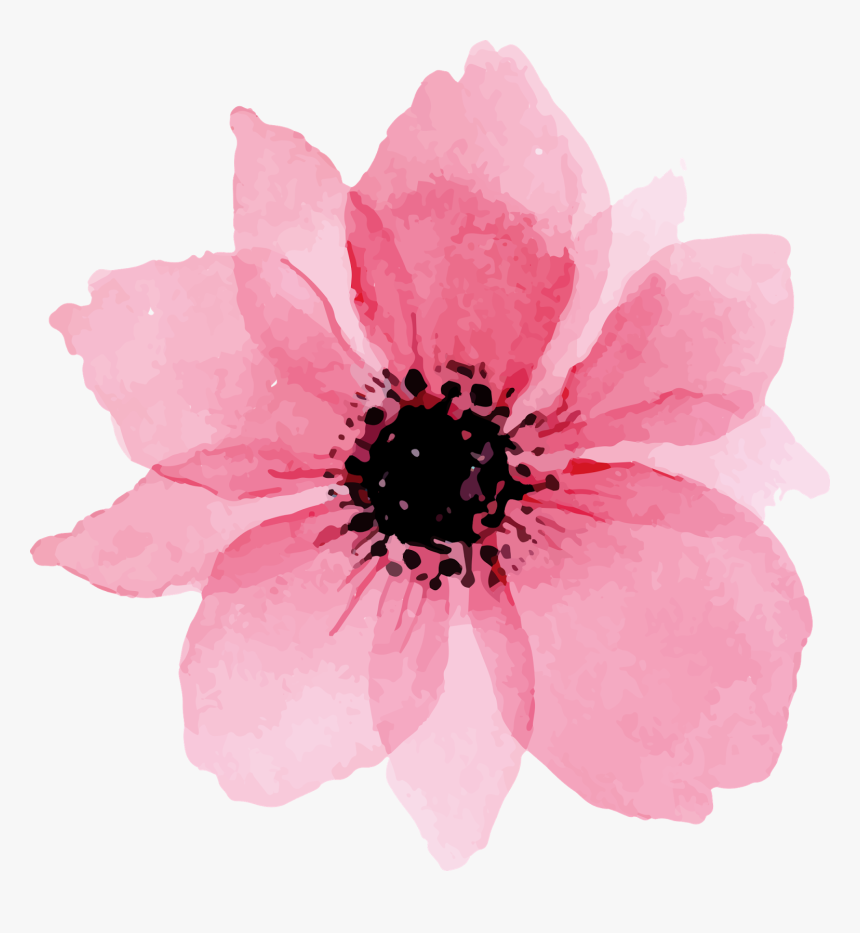 Watercolor Flower Png, Transparent Png