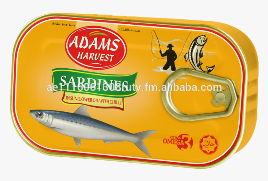 Transparent Sardines Png - Great White Shark, Png Download