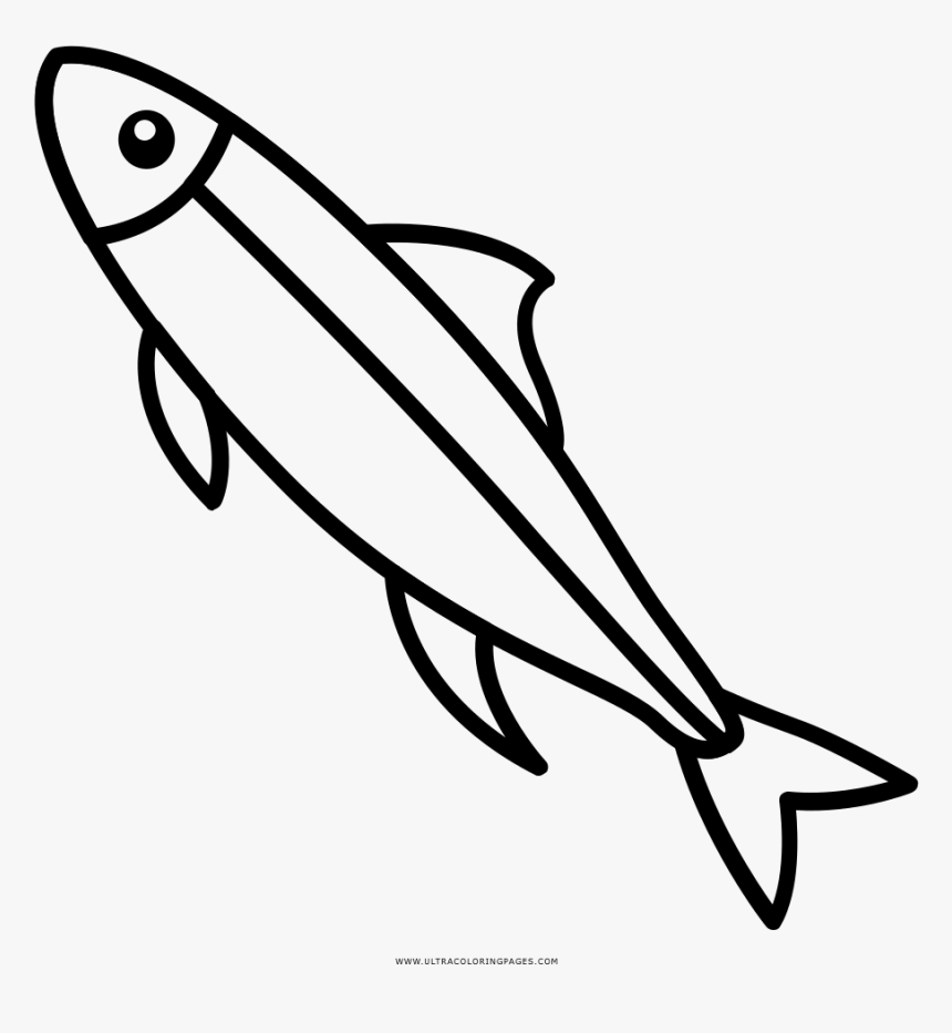 Sardine Coloring Page - Easy Sardine Drawing, HD Png Download