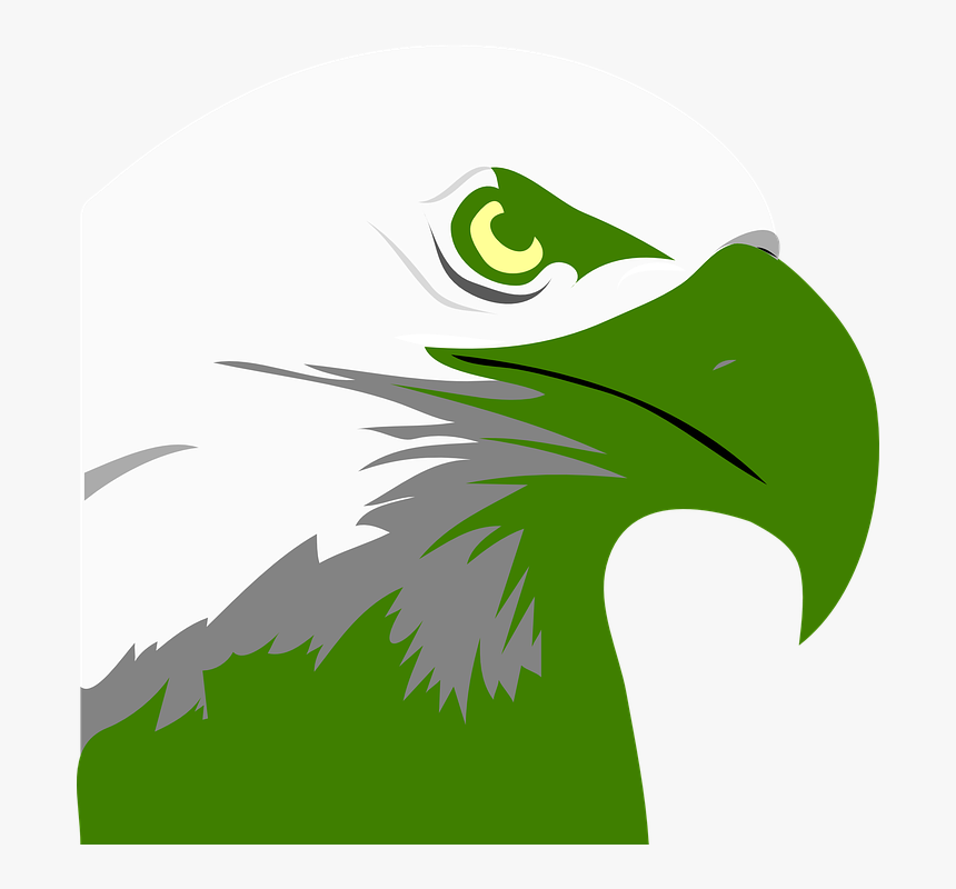 Eagle, Head, Beak, Portrait, Bald, Bird, Animal, Wild - Blue Eagle Clipart, HD Png Download