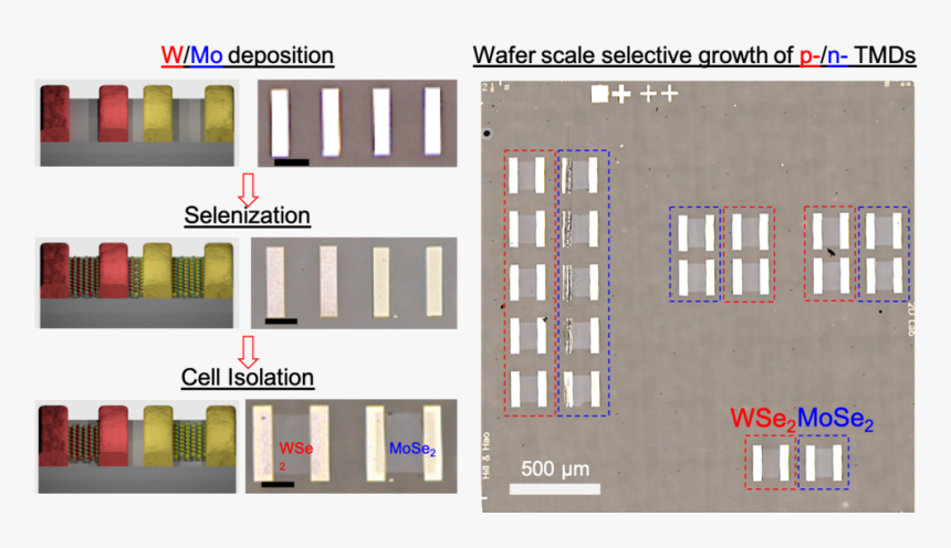 Picture1 - Plan, HD Png Download