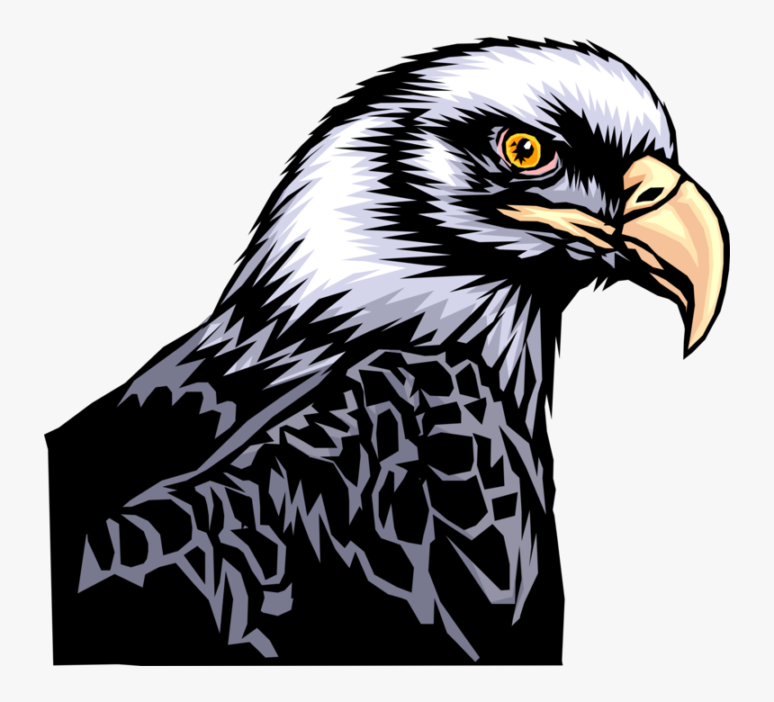 More In Same Style Group - Aguila, HD Png Download