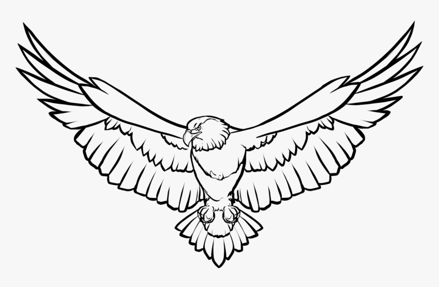 Art,monochrome Photography,monochrome - Eagle Line Drawing, HD Png Download
