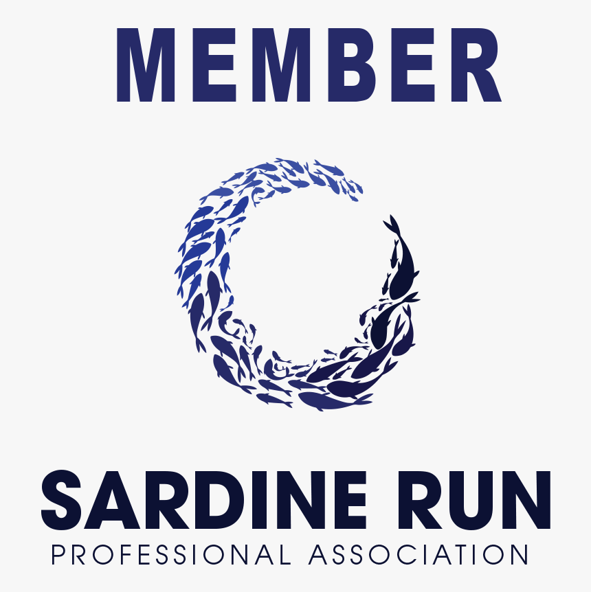 Poster, HD Png Download