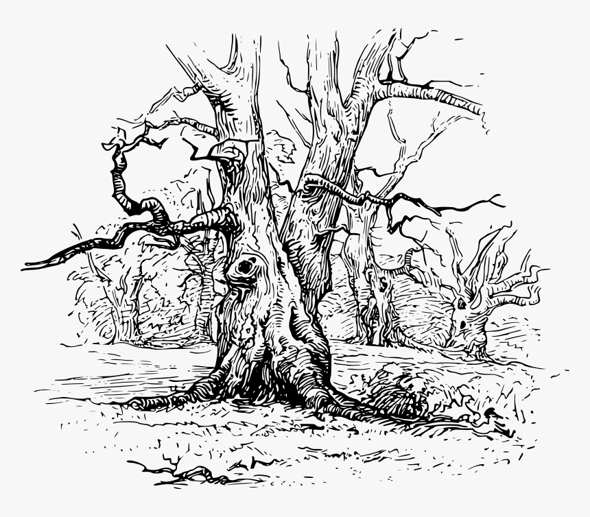 Illustration, HD Png Download