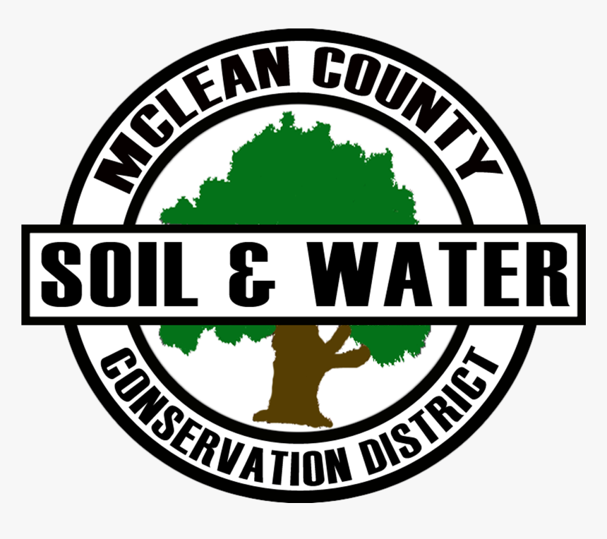 Transparent Alas Vector Png - Fighter Squadron, Png Download