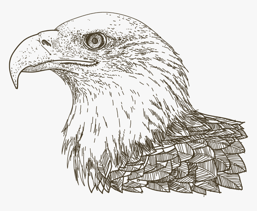 Drawing, HD Png Download